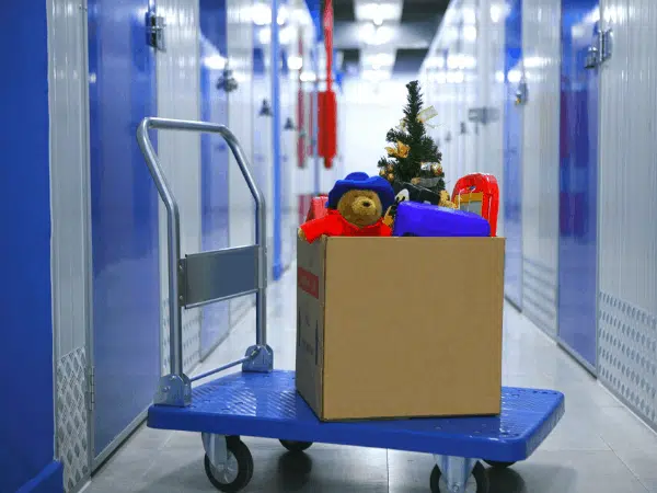 Box Storage